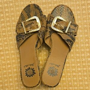Yellow Box Brown Snake Print Sandals